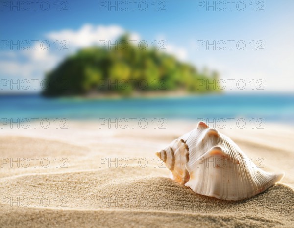 Composition with beach water, sand, starfish and seashells. Summer vacations concept, AI generated