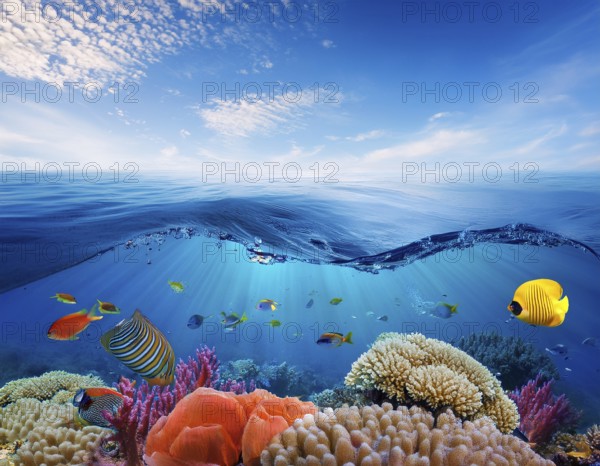Scuba diver diving over coral tropical reef, with colorful sea fish beautiful ocean ecosystem, AI generated