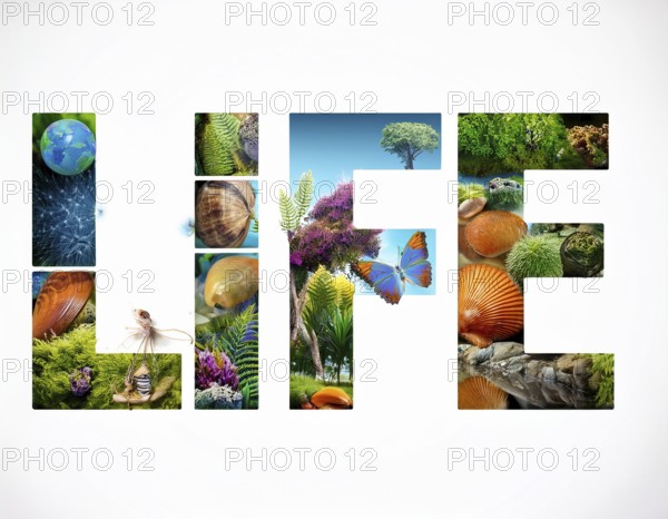 An artistic depiction of the word 'LIFE' filled with vivid imagery representing nature, wildlife, plants, and a serene sunset, symbolizing biodiversity and natural beauty, AI generated