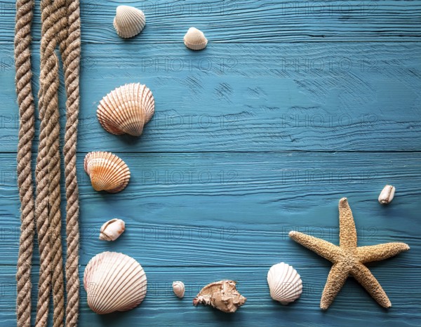 Frame of rope, seashells and starfishes is lying on a wooden textured blue background, AI generated