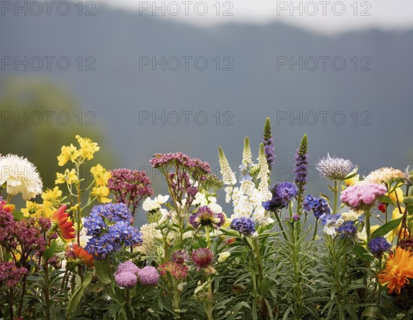 A variety of colorful wildflowers flourish on a hillside against a blurred mountainous backdrop. The flowers reflect vibrancy, serenity, and the beauty of nature in a peaceful outdoor environment, AI generated