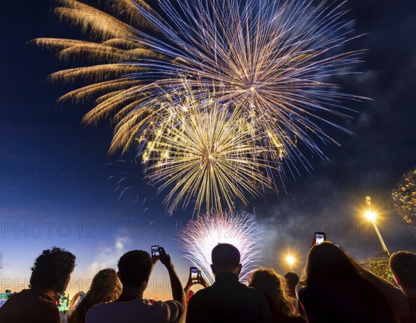 Thrilling fireworks illuminate the dark sky as a crowd gathers to enjoy the dazzling display, creating an atmosphere of festivity and wonder, AI generated