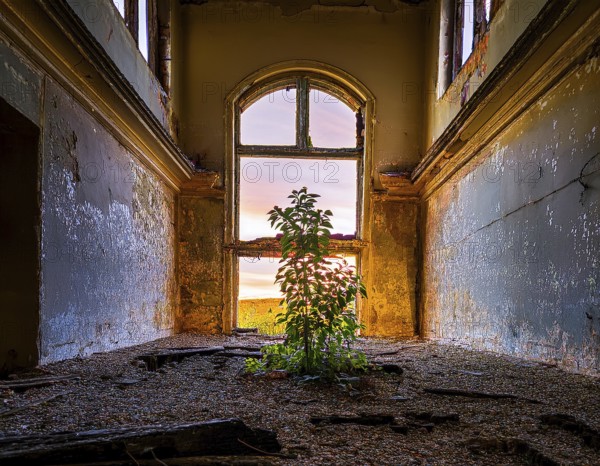 An abandoned building reveals a stunning view of a colorful sunset through a decayed window, surrounded by greenery reclaiming the space, symbolizing hope, resilience and the beauty of nature, AI generated