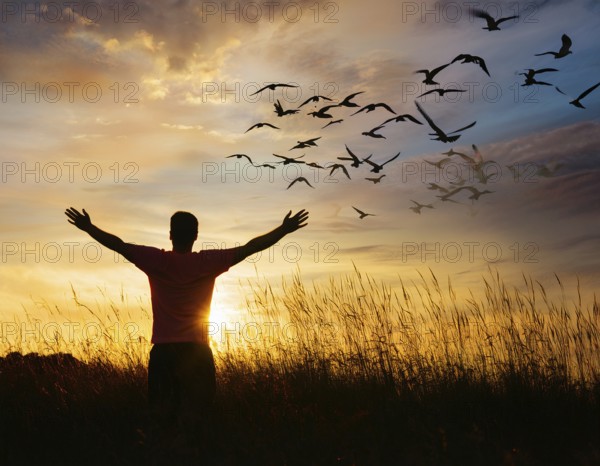 A silhouetted figure standing in a vibrant field, arms wide open, admiring the beauty of the sunset, while birds fly across the colorful sky, capturing a moment of peace and wonder, AI generated