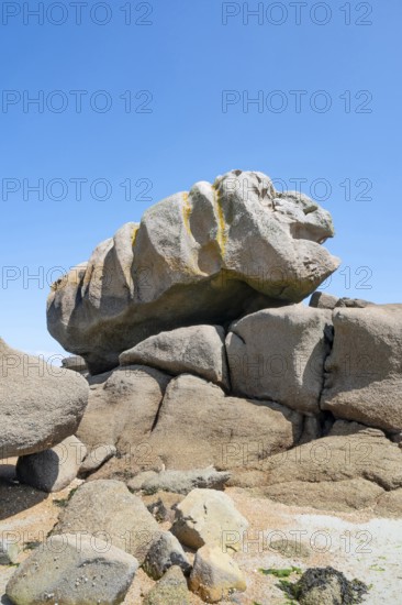 Spectacular pink granite rocks, sculpted by wind and sea, sometimes with animals and fantasy figures, pile up on the beach of the Cote de Granit Rose, while the clear, turquoise-blue water at low tide reveals seaweed and light-coloured sand on the seabed, Tregastel, Cotes-d'Armor department, Brittany region, France