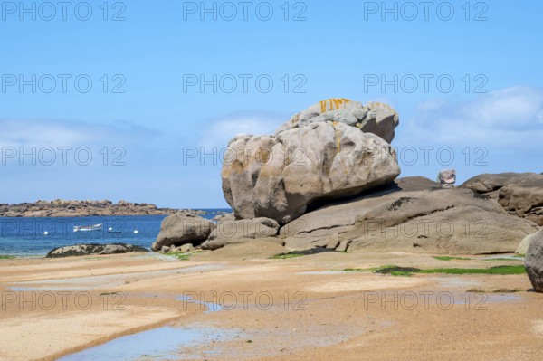Spectacular pink granite rocks, sculpted by wind and sea, pile up on the beach of the Cote de Granit Rose, while the clear, turquoise-blue water reveals seaweed and light-coloured sand on the seabed at low tide, Tregastel, Cotes-d'Armor department, Brittany region, France