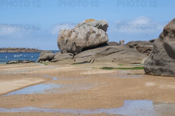 Spectacular pink granite rocks, sculpted by wind and sea, pile up on the beach of the Cote de Granit Rose, while the clear, turquoise-blue water reveals seaweed and light-coloured sand on the seabed at low tide, Tregastel, Cotes-d'Armor department, Brittany region, France