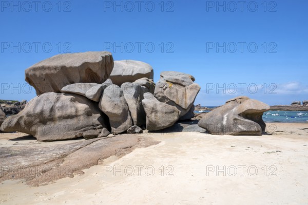 Spectacular pink granite rocks, sculpted by wind and sea, pile up on the beach of the Cote de Granit Rose, while the clear, turquoise-blue water reveals seaweed and light-coloured sand on the seabed at low tide, Tregastel, Cotes-d'Armor department, Brittany region, France