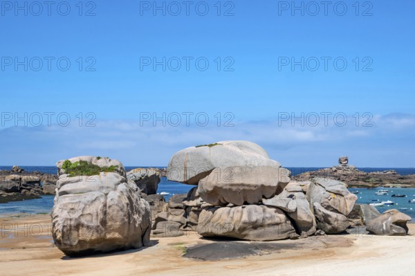 Spectacular pink granite rocks, sculpted by wind and sea, pile up on the beach of the Cote de Granit Rose, while the clear, turquoise-blue water reveals seaweed and light-coloured sand on the seabed at low tide, Tregastel, Cotes-d'Armor department, Brittany region, France