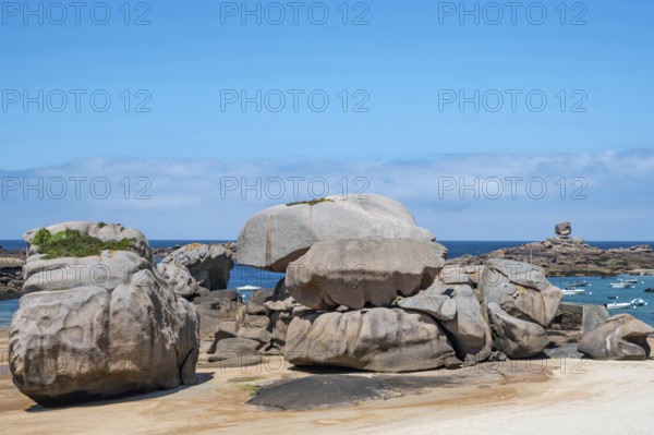 Spectacular pink granite rocks, sculpted by wind and sea, pile up on the beach of the Cote de Granit Rose, while the clear, turquoise-blue water reveals seaweed and light-coloured sand on the seabed at low tide, Tregastel, Cotes-d'Armor department, Brittany region, France