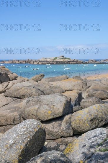 The wide bay of Tregastel on the Cote de Granit Rose shows the turquoise blue sea with white sailing boats and the characteristic round pink granite rocks, framed by large boulders in the foreground, Tregastel, Cotes-d'Armor department, Brittany region, France
