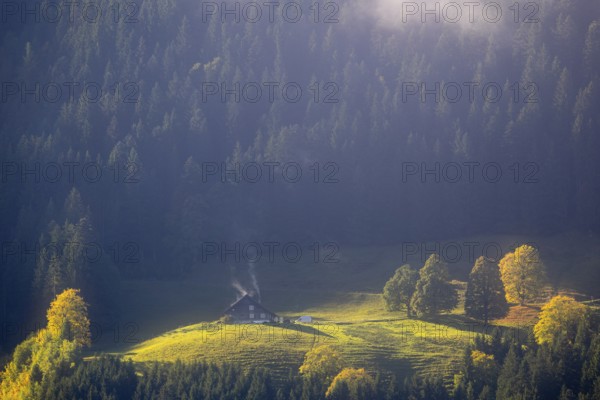Alpine hut in the fog, trees in autumn colours, smoke from the Schonrstein, autumn, Laterns, Vorarlberg, Austria