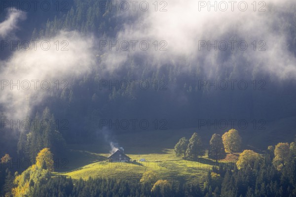 Alpine hut in the fog, trees in autumn colours, smoke from the Schonrstein, autumn, Laterns, Vorarlberg, Austria