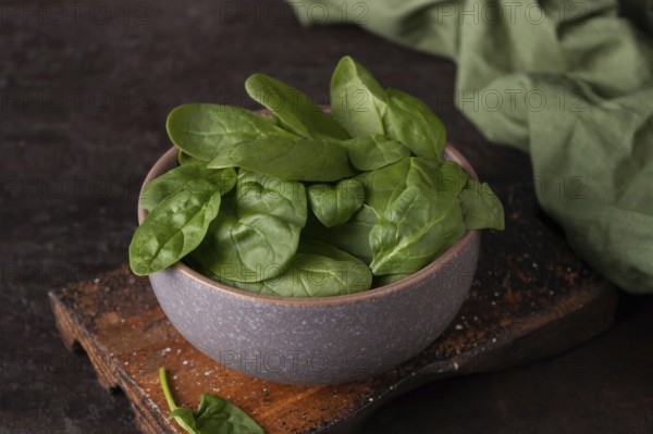 Spinach leaves in a clay cup dark photo