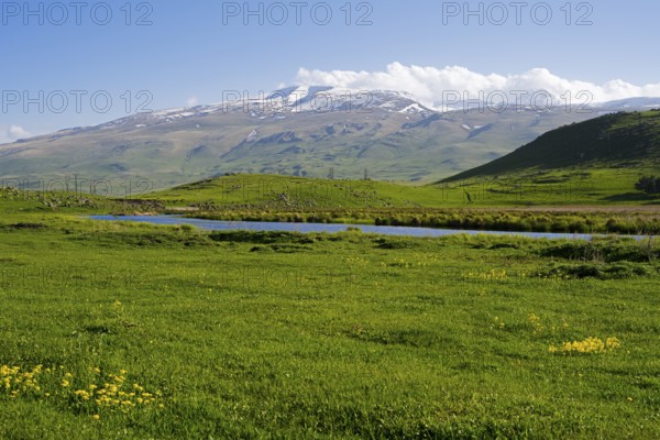 Idyllic landscape with snow-covered mountains and green grass under a blue sky, landscape near Rya Taza with a view of the Aragaz, Ria Taza, Aragatsotn province, Armenia