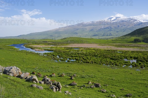 Green meadows with a meandering stream and a mountain range in the background under a clear sky, landscape near Rya Taza with a view of the Aragaz, Ria Taza, Aragatsotn Province, Armenia