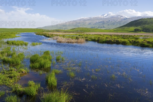 A calm lake surrounded by green meadows and hills with a snow-capped mountain in the background under a blue sky, landscape near Rya Taza with a view of Aragaz, Ria Taza, Aragatsotn Province, Armenia