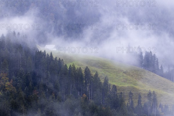 Almhaus, Alm, fog, forest, autumn, Furkajoch, Vorarlberg, Austria