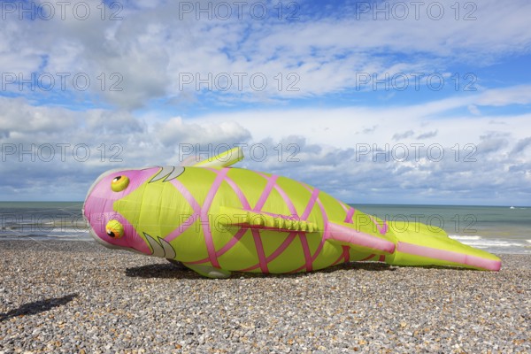 Kite festival on the beach, international kite festival, kite in the shape of a fish lies on the beach, Dieppe, Normandy, France