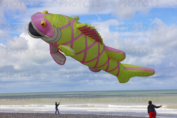Kite festival on the beach, international kite festival, kite in the shape of a fish, Dieppe, Normandy, France
