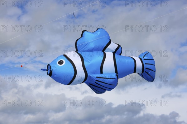 Kite festival, international kite festival, kite in the shape of a fish, Dieppe, Normandy, France