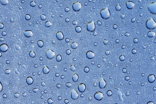 Drops of water on a blue surface, North Rhine-Westphalia, Germany
