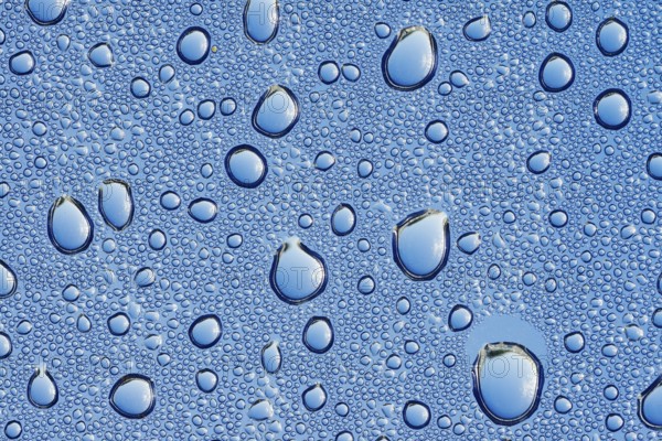 Drops of water on a blue surface, North Rhine-Westphalia, Germany