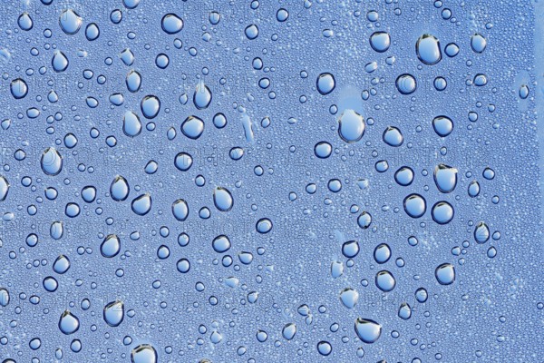 Drops of water on a blue surface, North Rhine-Westphalia, Germany