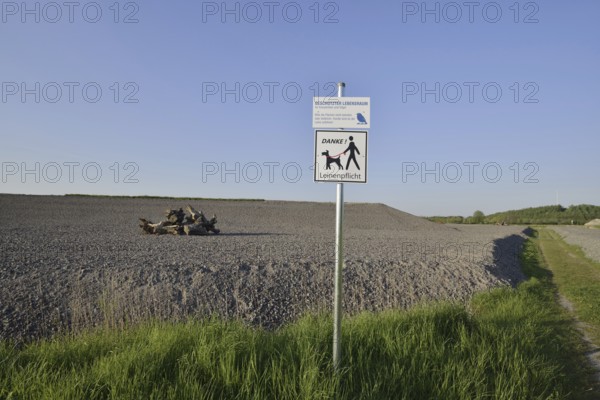 Man-made habitat for the natterjack toad (Bufo calamita, Epidalea calamita) on the Großes Holz slag heap, Bergkamen, North Rhine-Westphalia, Germany