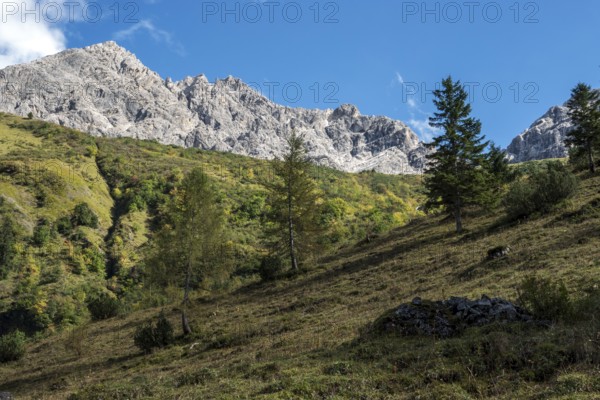 Großer Wilder, Oytal, near Oberstdorf, Oberallgäu, Allgäu, Bavaria, Germany
