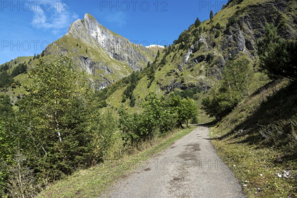 Driveway, hiking trail to Käser Alpe, behind Himmelhorn, Oytal, near Oberstdorf, Oberallgäu, Allgäu, Bavaria, Germany