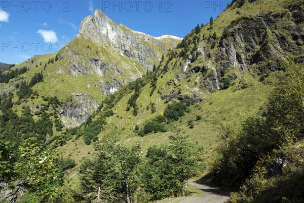 Driveway, hiking trail to Käser Alpe, behind Himmelhorn, Oytal, near Oberstdorf, Oberallgäu, Allgäu, Bavaria, Germany