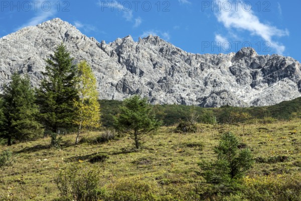 Großer Wilder, Oytal, near Oberstdorf, Oberallgäu, Allgäu, Bavaria, Germany