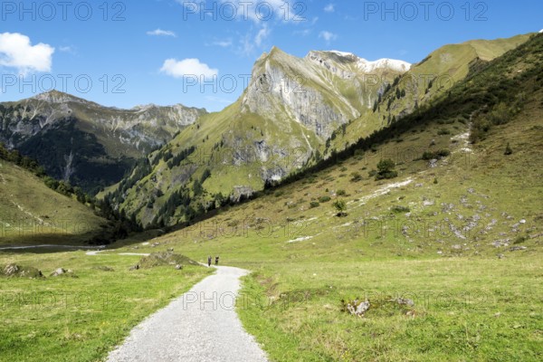 Driveway, hiking trail to Käser Alpe, behind Himmelhorn, Oytal, near Oberstdorf, Oberallgäu, Allgäu, Bavaria, Germany