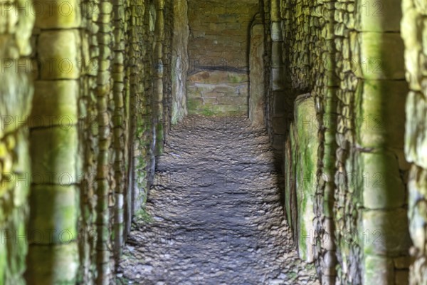 Modern-day neolithic style long Barrow burial chamber for storing cremation urns, All Cannings, near Devizes, Wiltshire, UK built 2014