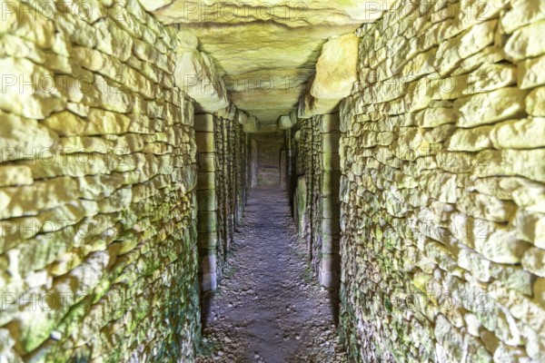 Modern-day neolithic style long Barrow burial chamber for storing cremation urns, All Cannings, near Devizes, Wiltshire, UK built 2014