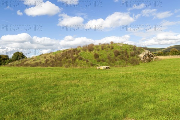 Modern-day neolithic style long Barrow burial chamber for storing cremation urns, All Cannings, near Devizes, Wiltshire, UK built 2014