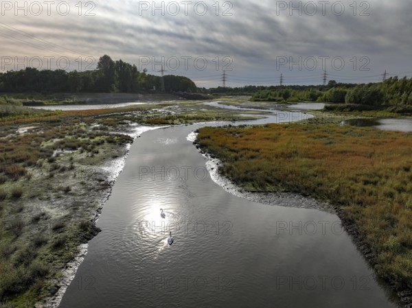 Dortmund, Castrop-Rauxel, North Rhine-Westphalia, Germany - River renaturalisation, renaturation of the Emscher, flood retention basin HRB Mengede. A new floodplain landscape is being created at the Emscher-Auen farm, expanding the area for flood protection during heavy rainfall and for biodiversity. The previously straightened Emscher is being given curves again and can meander through its new floodplain. Following the construction of a parallel sewer, the Emscher has been completely free of sewage since 2022. The river was previously an open, above-ground combined sewer with rainwater and wastewater