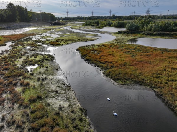 Dortmund, Castrop-Rauxel, North Rhine-Westphalia, Germany - River renaturalisation, renaturation of the Emscher, flood retention basin HRB Mengede. A new floodplain landscape is being created at the Emscher-Auen farm, expanding the area for flood protection during heavy rainfall and for biodiversity. The previously straightened Emscher is being given curves again and can meander through its new floodplain. Following the construction of a parallel sewer, the Emscher has been completely free of sewage since 2022. The river was previously an open, above-ground combined sewer with rainwater and wastewater