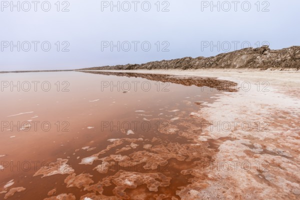 Pink salt flats with mineral-rich water in Sandwich Harbour, Namib-Naukluft National Park, Namibia. Rugged desert landscape with unique colors and textures, permit required to visit