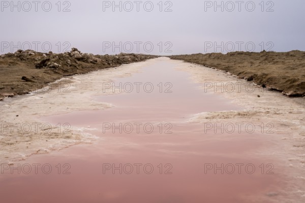 Pink salt flats with mineral-rich water in Sandwich Harbour, Namib-Naukluft National Park, Namibia. Rugged desert landscape with unique colors and textures, permit required to visit
