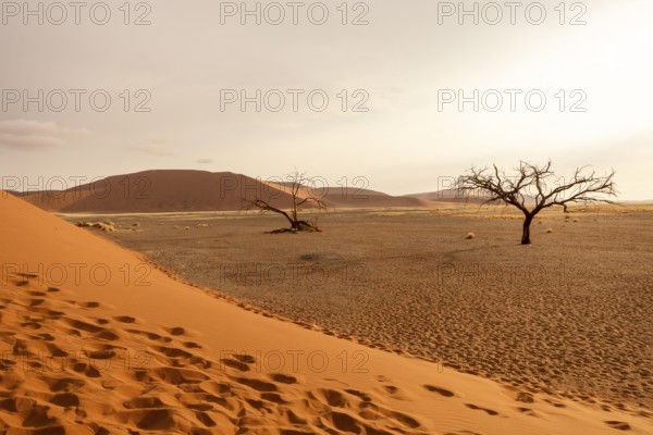 Big Daddy Dune & Deadvlei, Namibia – Towering red dune above Deadvlei's ancient dead camelthorn trees and white clay pan
