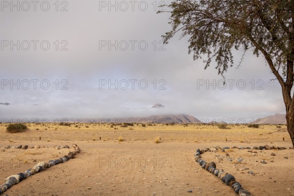 Sossusvlei, Namibia – A surreal landscape of dunes and resilient desert plants