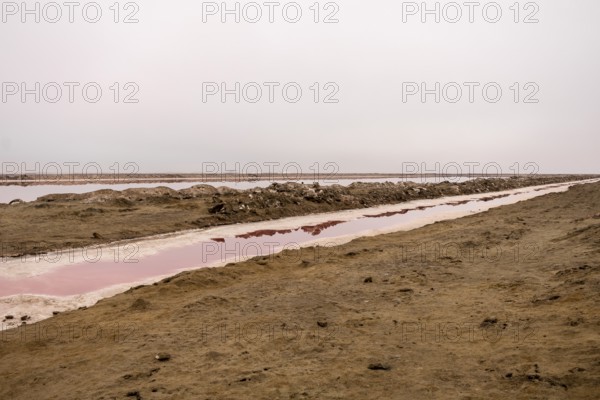 Pink salt flats with mineral-rich water in Sandwich Harbour, Namib-Naukluft National Park, Namibia. Rugged desert landscape with unique colors and textures, permit required to visit