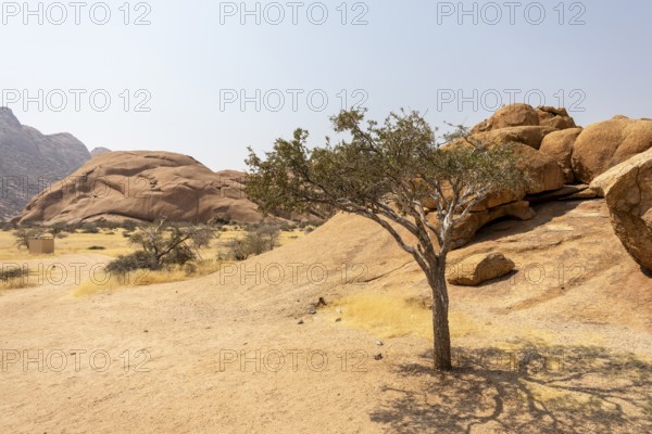 Granite peaks and rugged desert landscape at Spitzkoppe Community Campsite, Namibia. Golden grassland with scattered acacia trees contrasts against dramatic rocky mountains under a clear sky