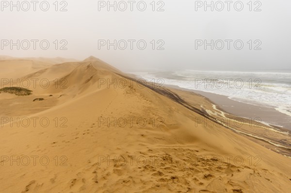 Golden dunes and the Atlantic Ocean near Namib-Naukluft Park, Namibia. A lagoon and shoreline fade into misty, cloudy weather, creating a dramatic desert-sea landscape