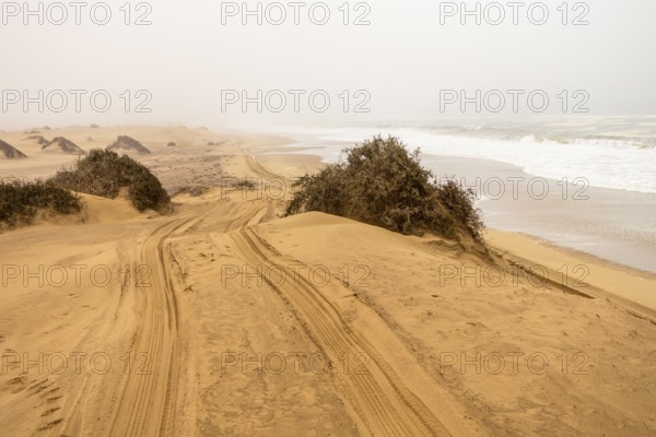 Golden dunes and the Atlantic Ocean near Namib-Naukluft Park, Namibia. A lagoon and shoreline fade into misty, cloudy weather, creating a dramatic desert-sea landscape