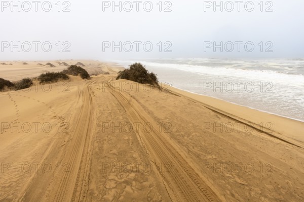 Golden dunes and the Atlantic Ocean near Namib-Naukluft Park, Namibia. A lagoon and shoreline fade into misty, cloudy weather, creating a dramatic desert-sea landscape