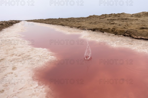 Pink salt flats with mineral-rich water in Sandwich Harbour, Namib-Naukluft National Park, Namibia. Rugged desert landscape with unique colors and textures, permit required to visit