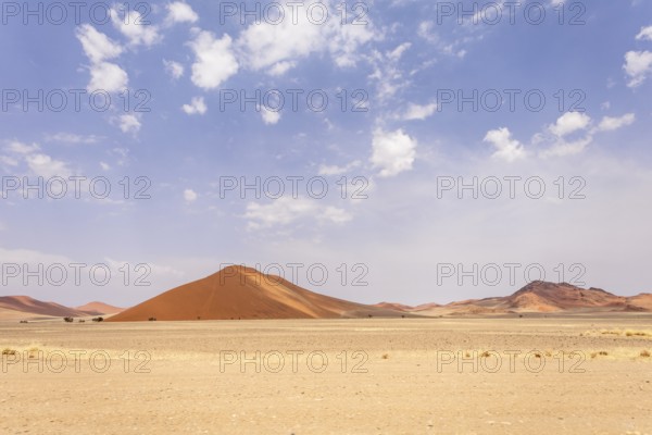 Sossusvlei in Namibia is a desert wonder, famous for its giant red dunes, glowing at sunrise and sunset, and its hauntingly beautiful dead tree valleys